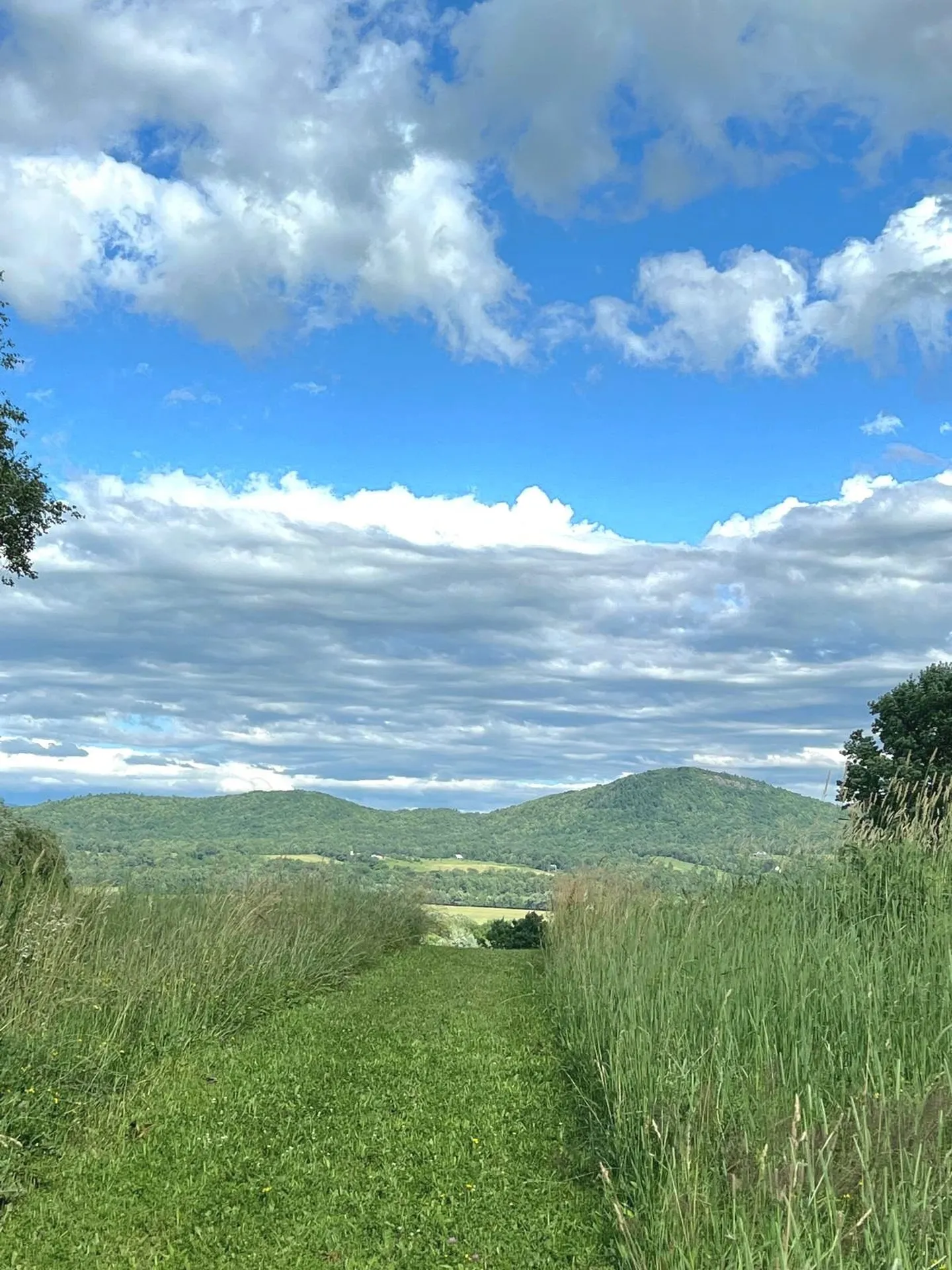 1624 Hopkins Road Panton VT 05491