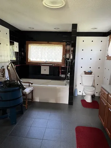 4222 Route 155 Mount Holly VT 05730