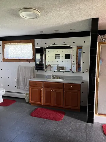 4222 Route 155 Mount Holly VT 05730