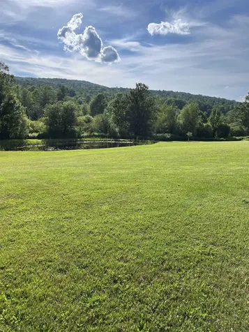 4222 Route 155 Mount Holly VT 05730