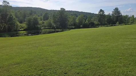 4222 Route 155 Mount Holly VT 05730