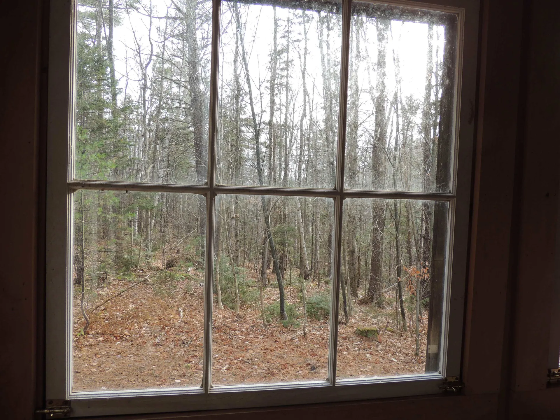 1511 East Dover Road Wardsboro VT 05355