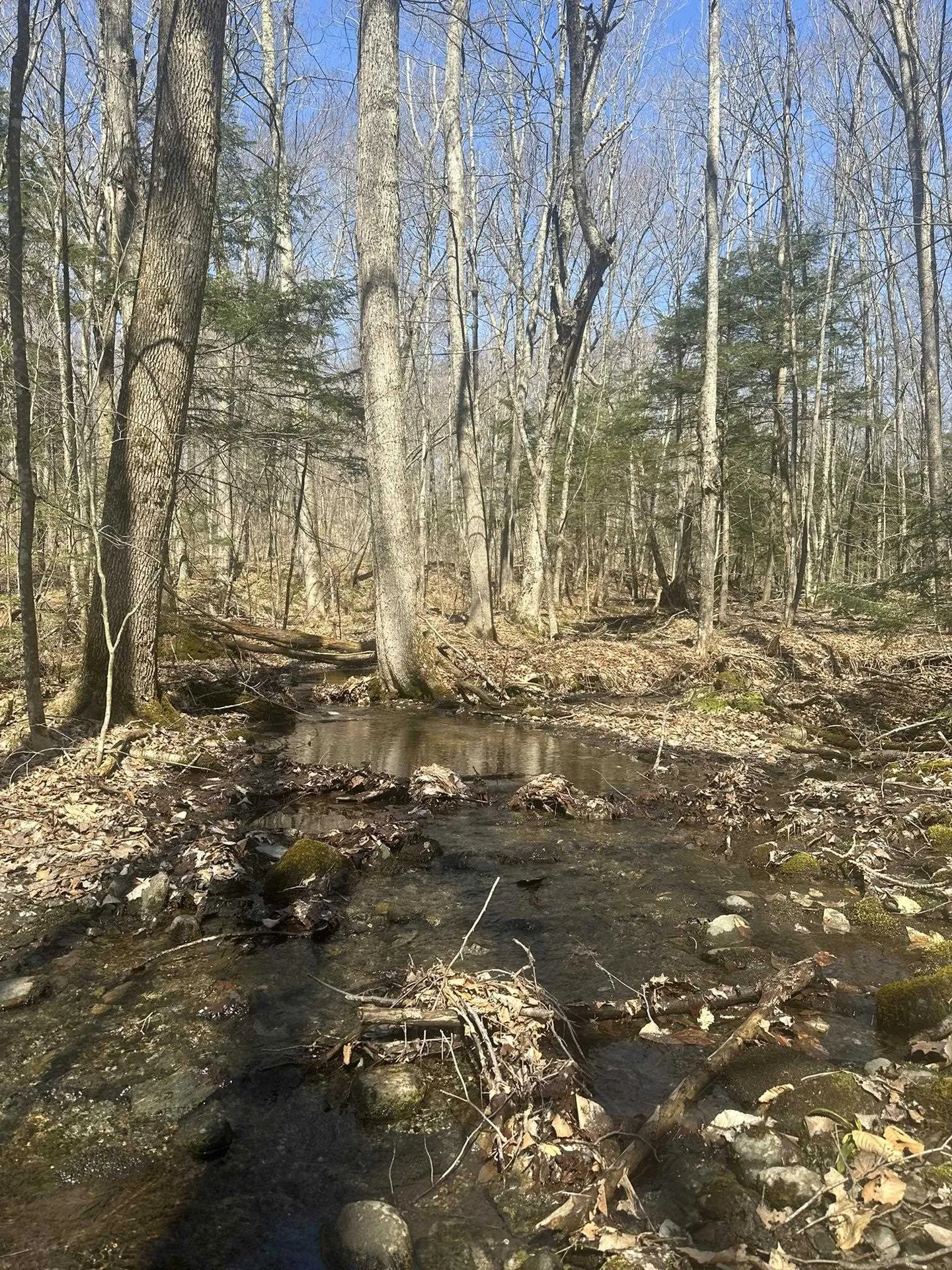 130 Dimock Lane Richmond VT 05477