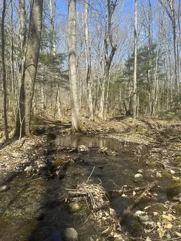 130 Dimock Lane Richmond VT 05477