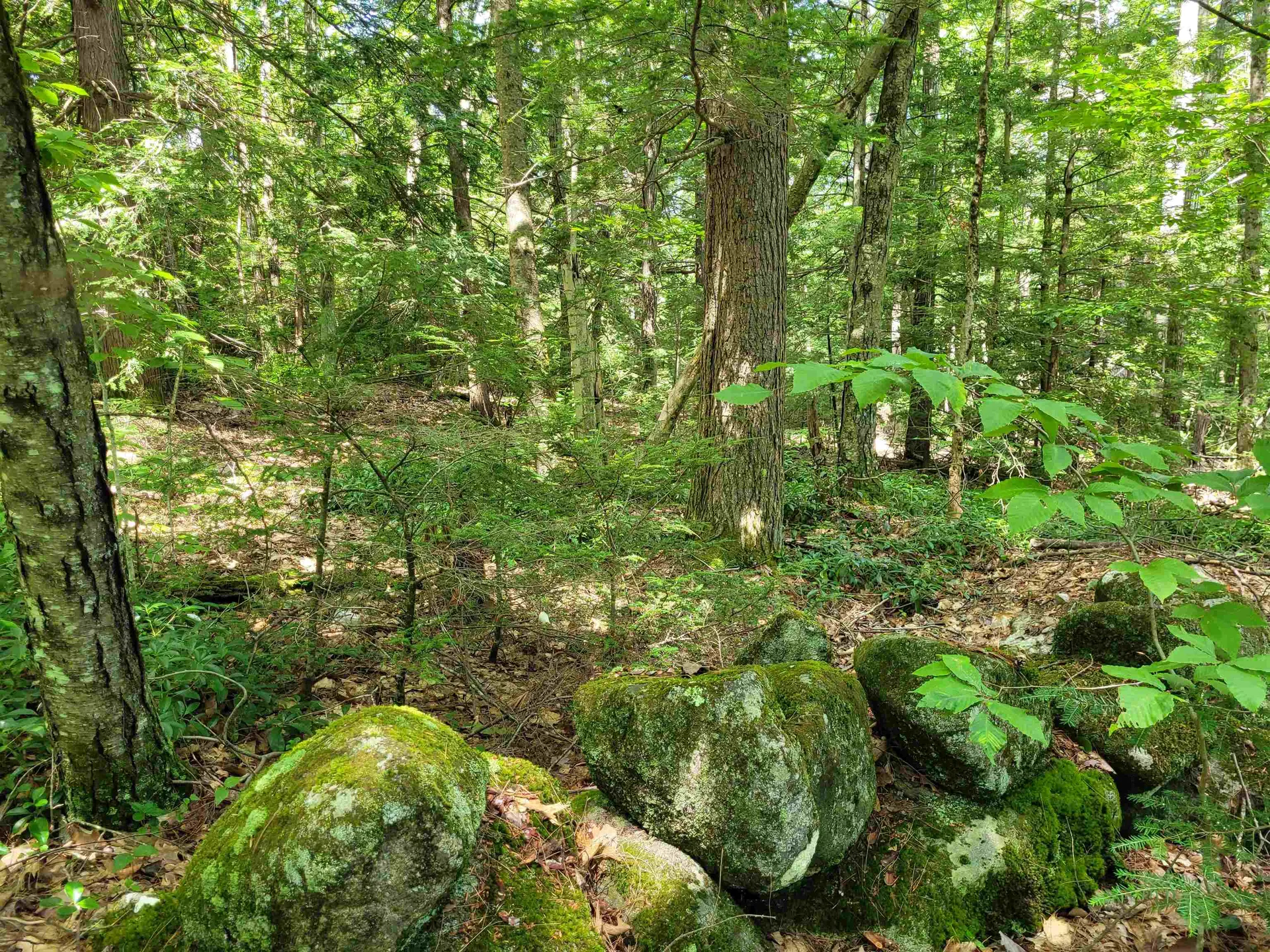 0 Taylor Hill Road Richmond NH 03470