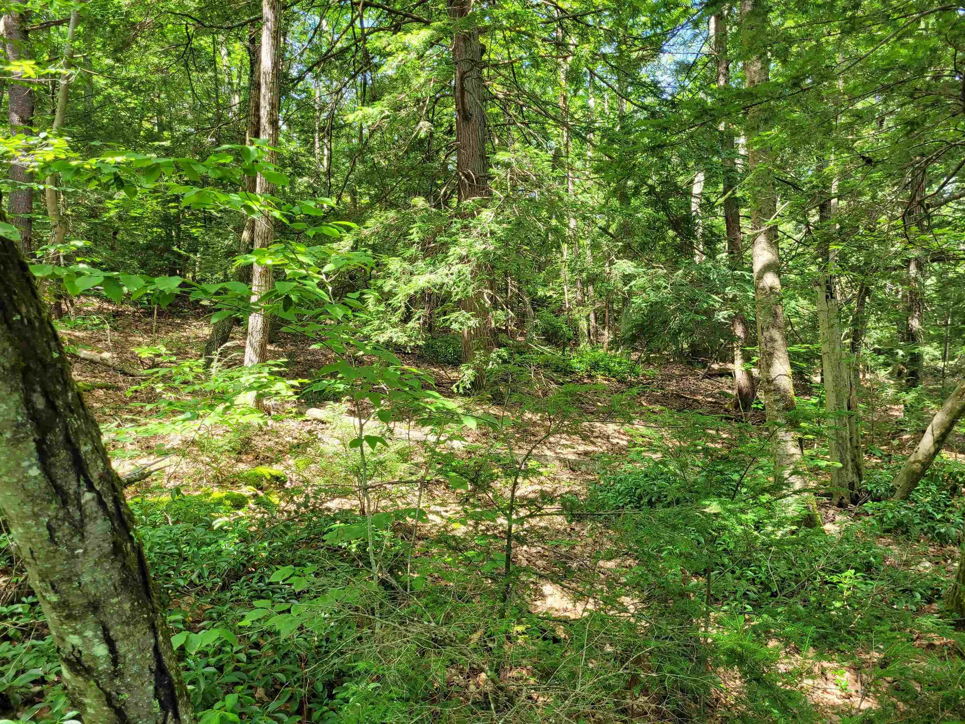 0 Taylor Hill Road Richmond NH 03470