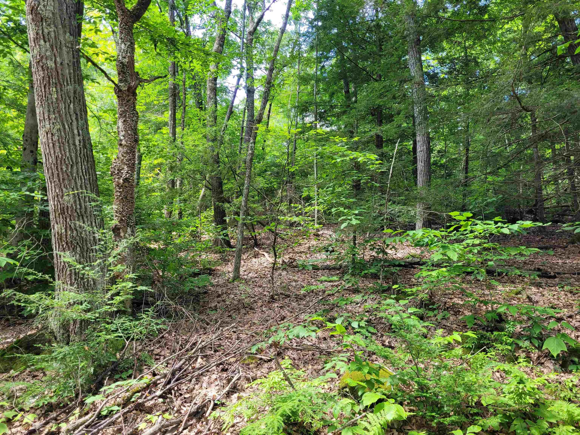 0 Taylor Hill Road Richmond NH 03470