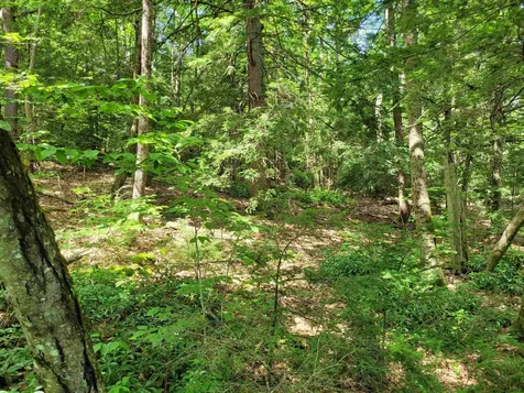 0 Taylor Hill Road Richmond NH 03470