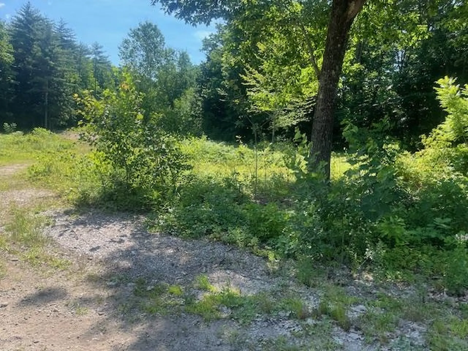 23 Summit View Drive Tamworth NH 03816