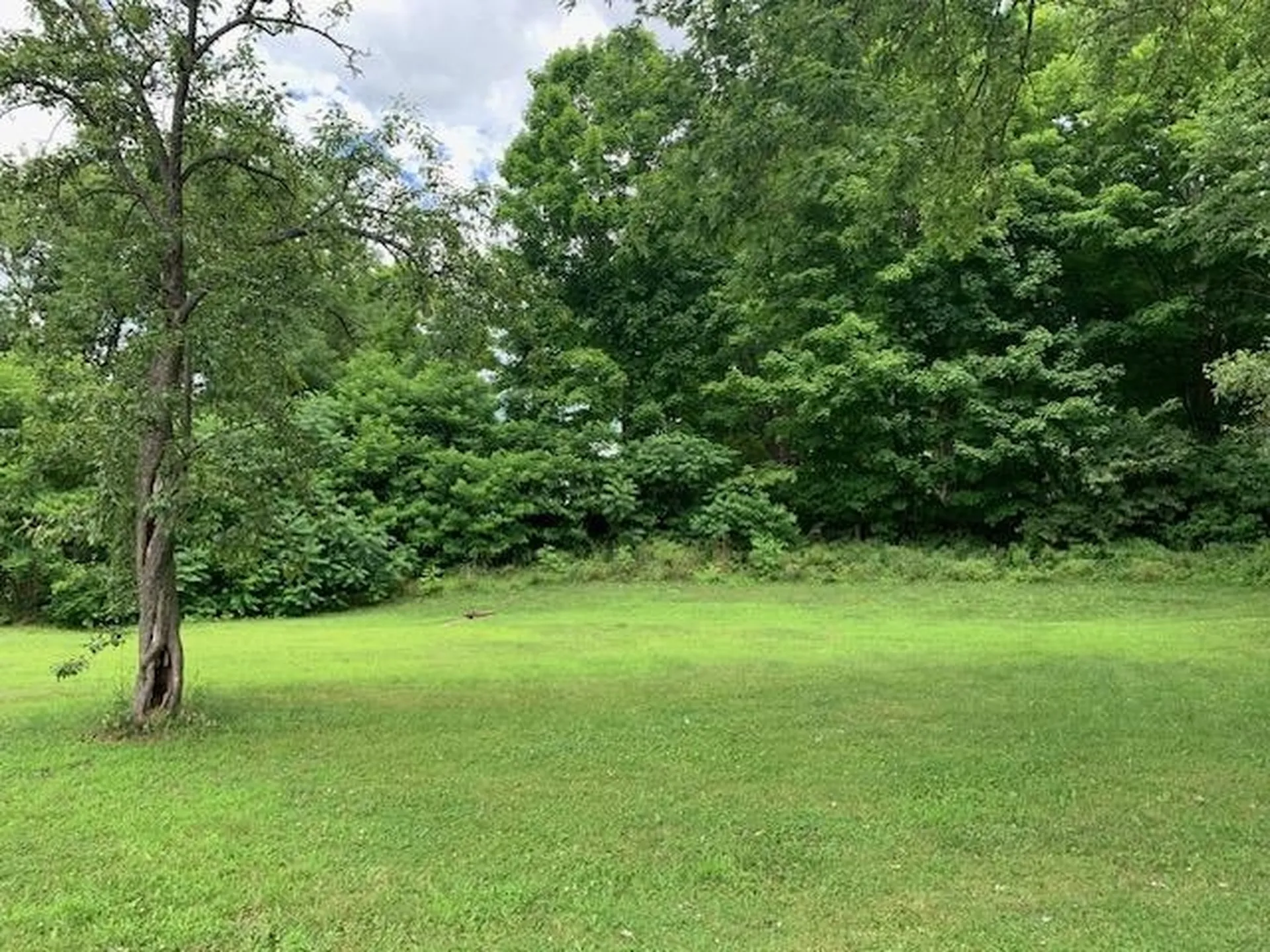 71 South Windsor Street Royalton VT 05068