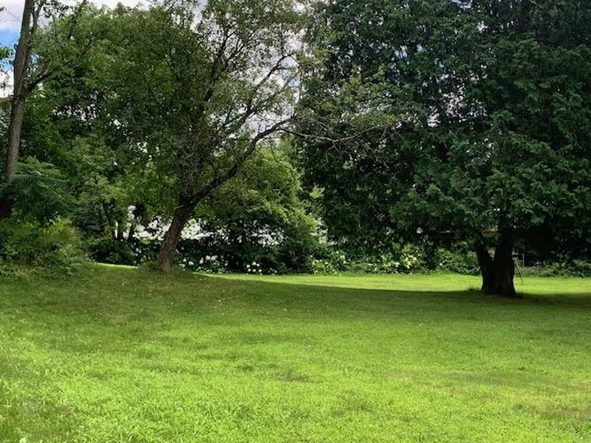 71 South Windsor Street Royalton VT 05068