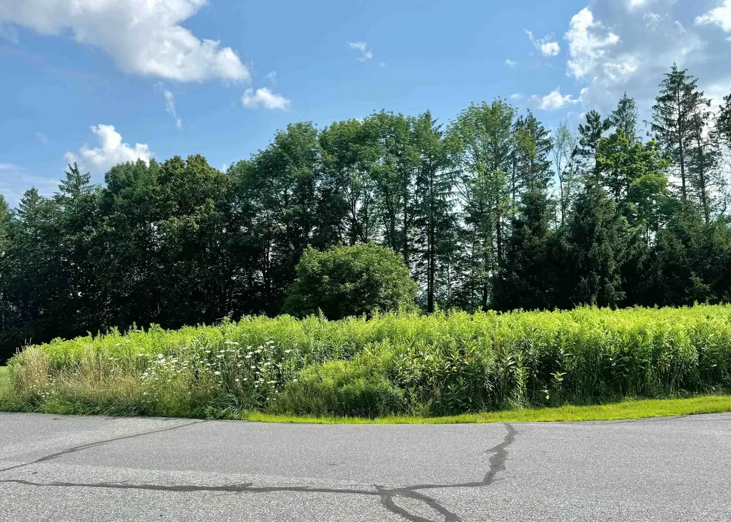 Buena Vista Circle Barre Town VT 05641