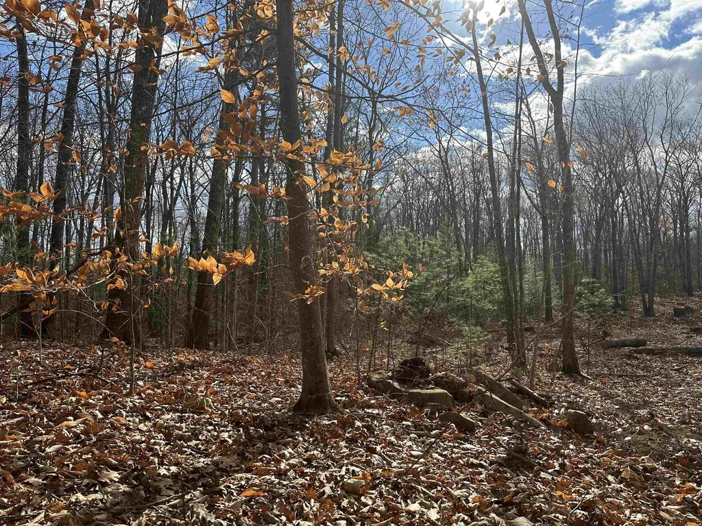 185 Mahala Way Barrington NH 03825