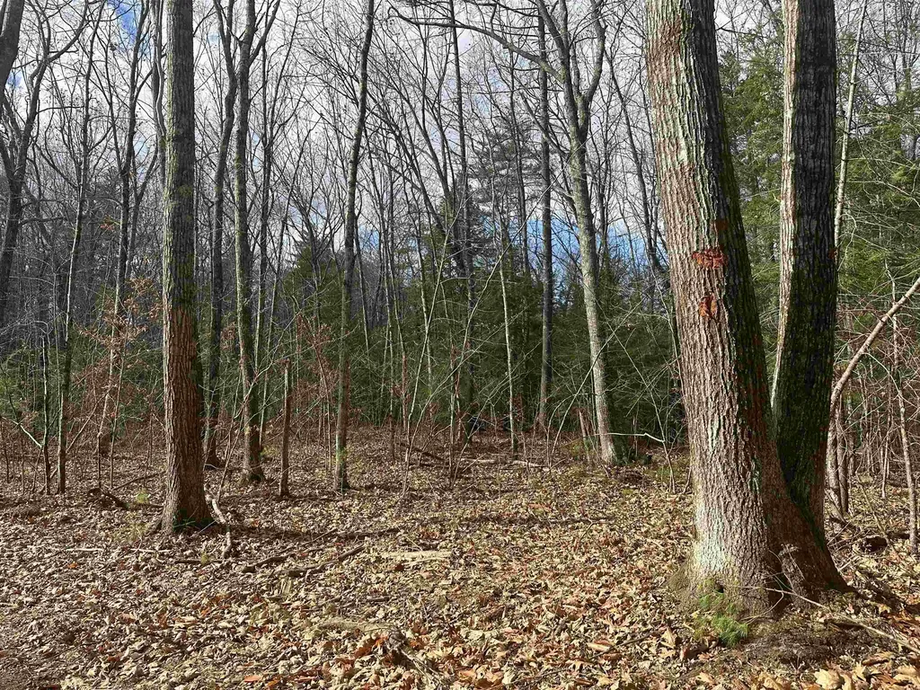 185 Mahala Way Barrington NH 03825