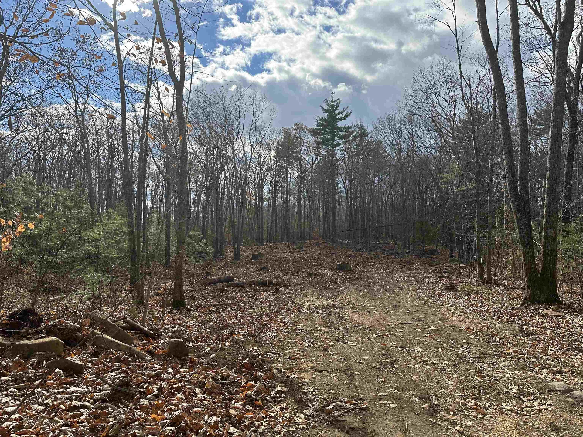 185 Mahala Way Barrington NH 03825