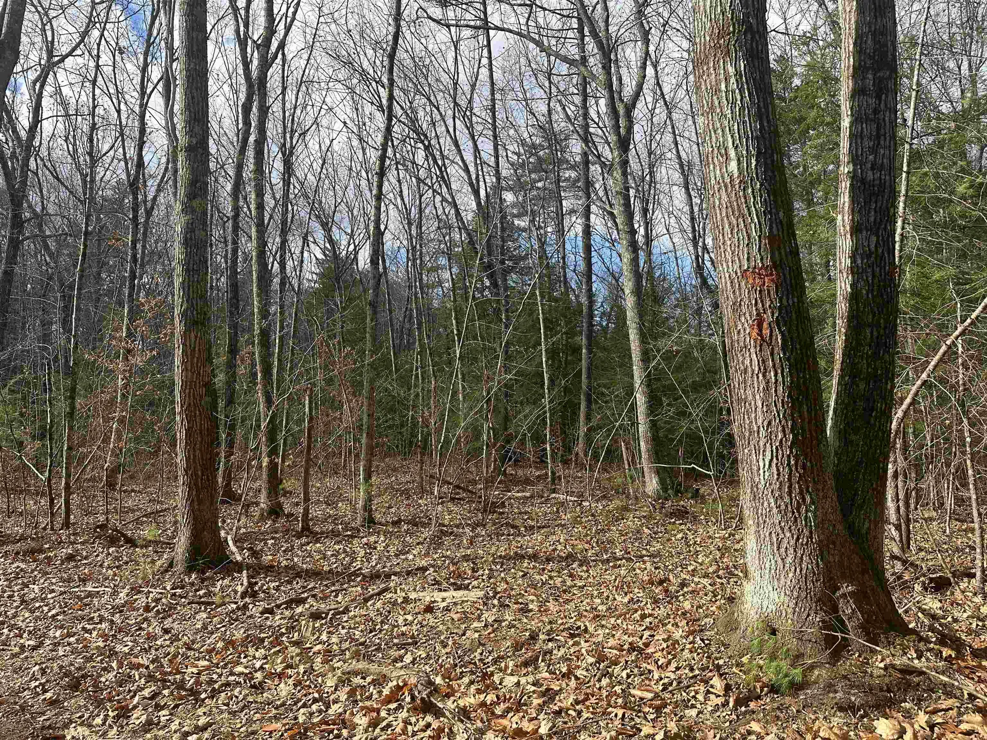 185 Mahala Way Barrington NH 03825