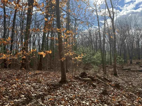 185 Mahala Way Barrington NH 03825