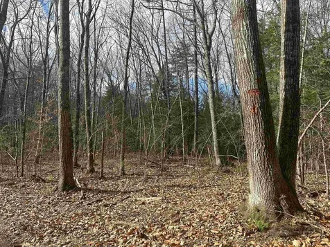 185 Mahala Way Barrington NH 03825