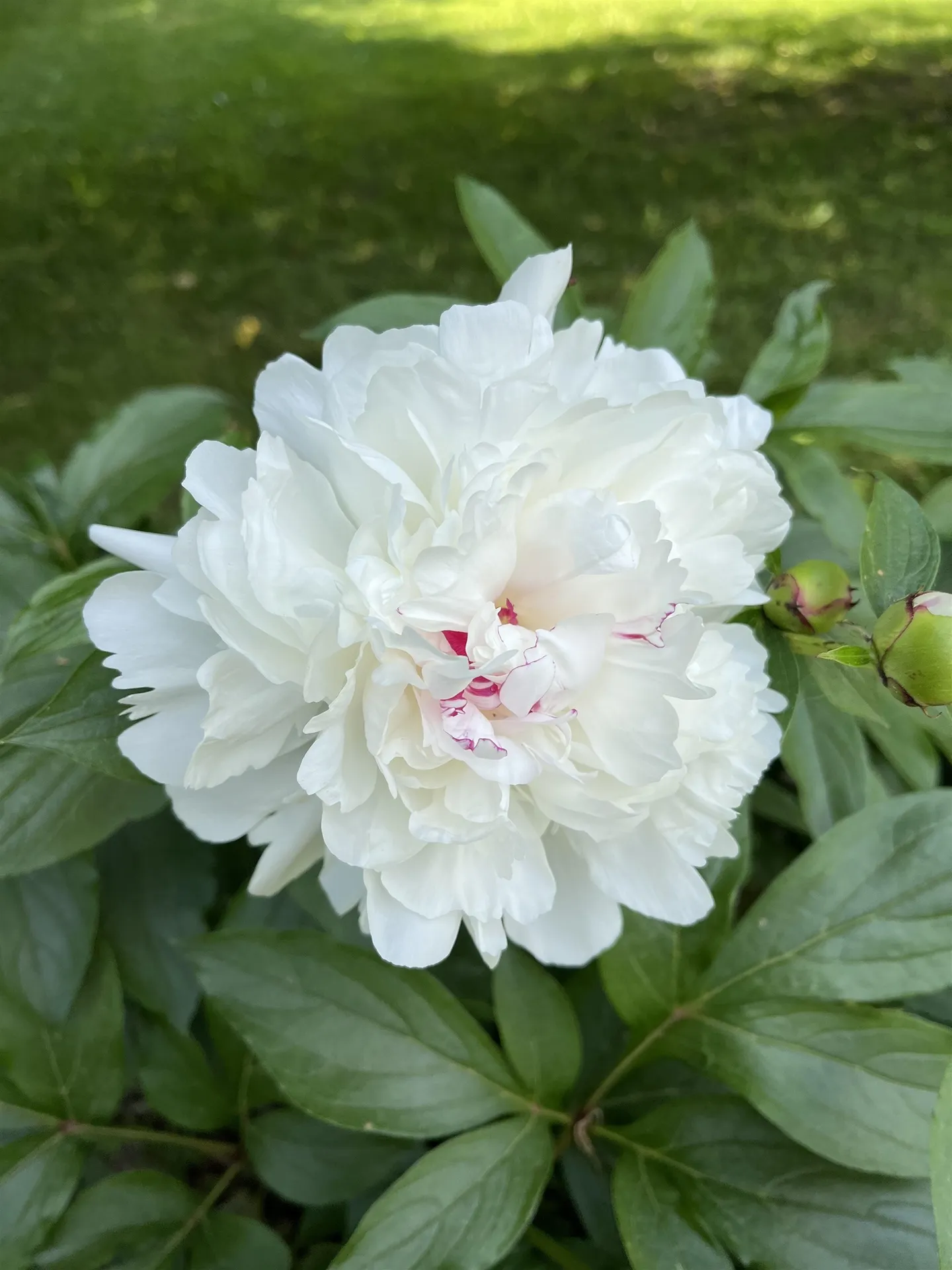 3497 Middle Road Clarendon VT 05759