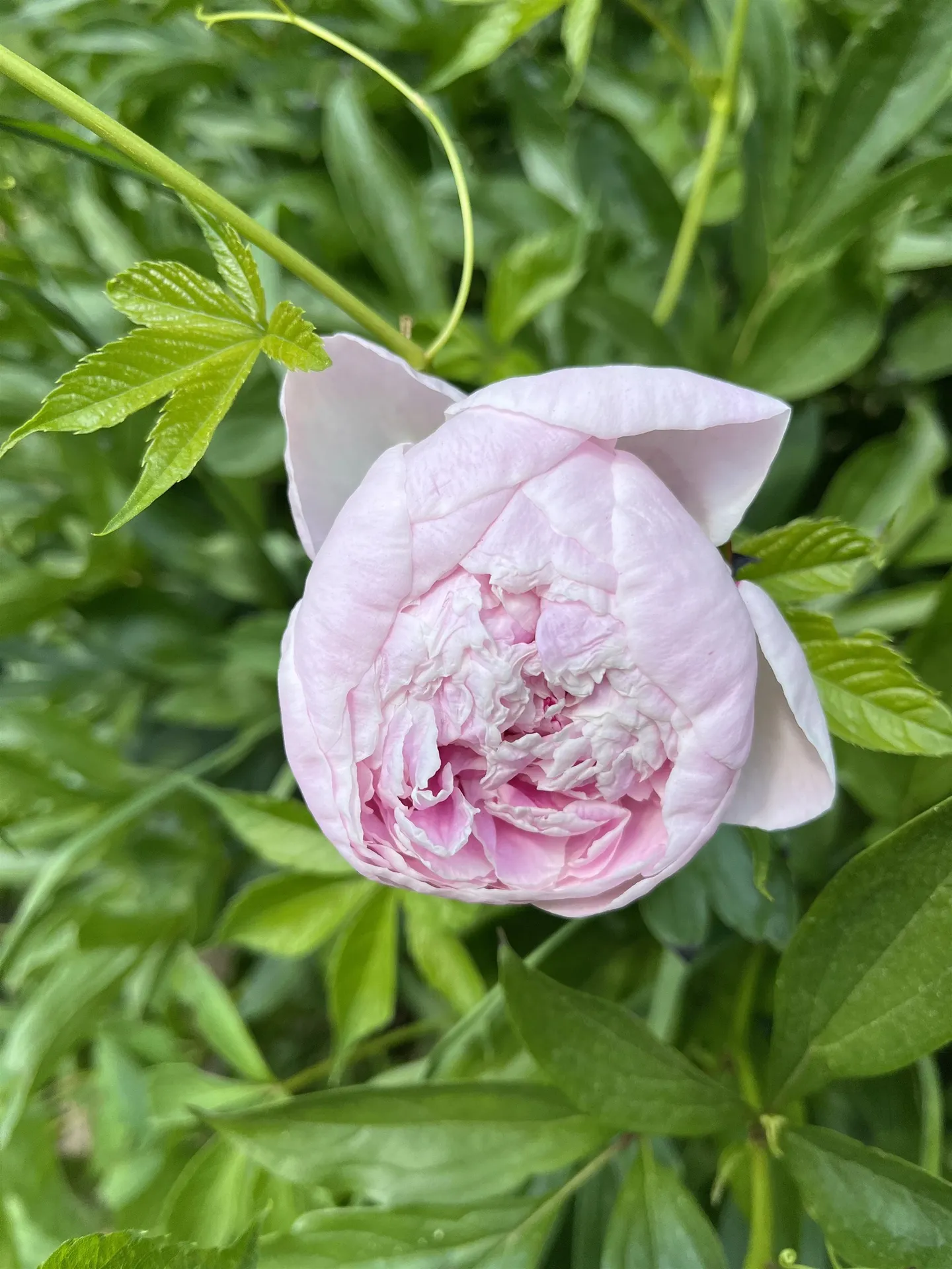 3497 Middle Road Clarendon VT 05759