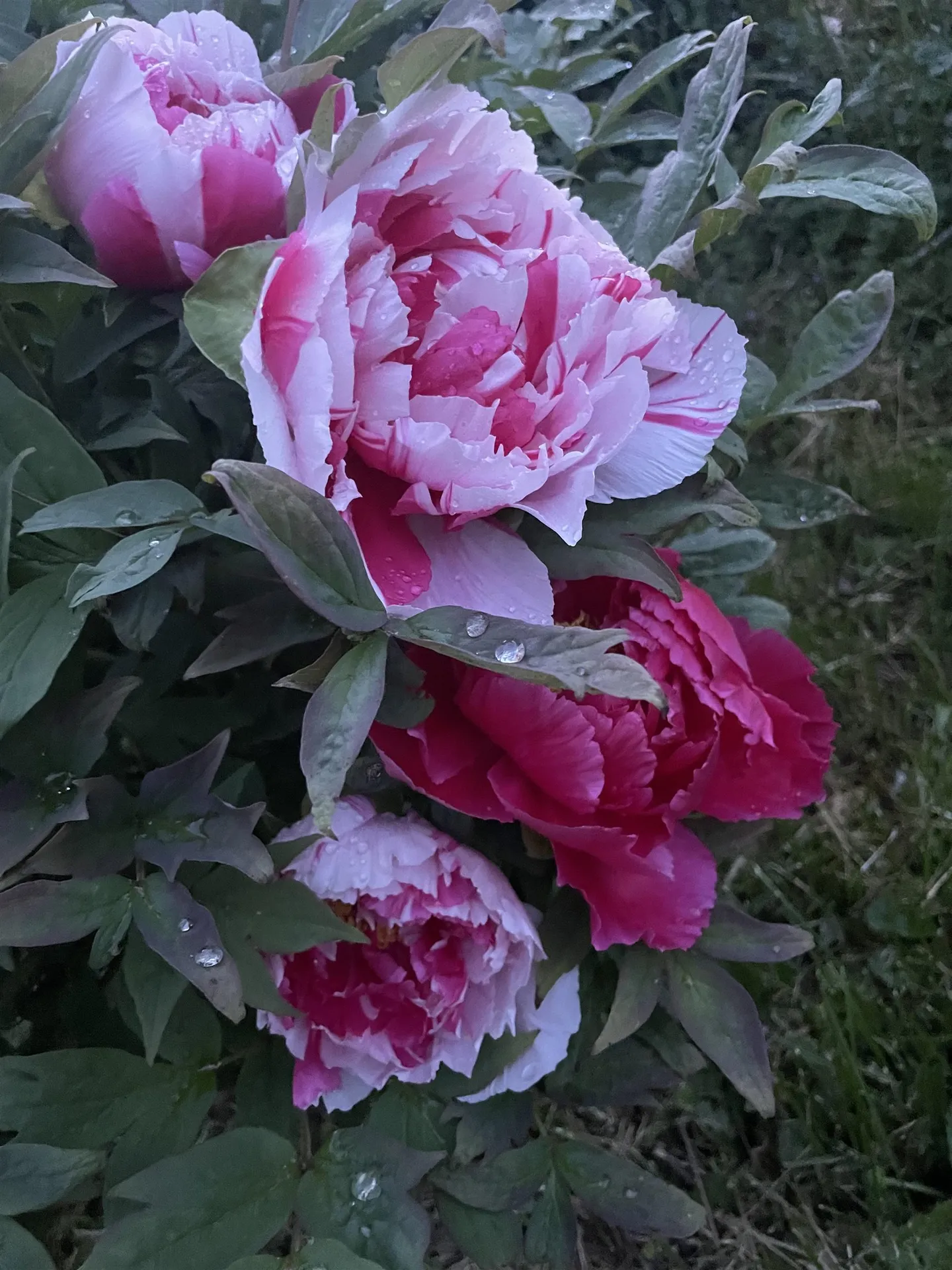 3497 Middle Road Clarendon VT 05759