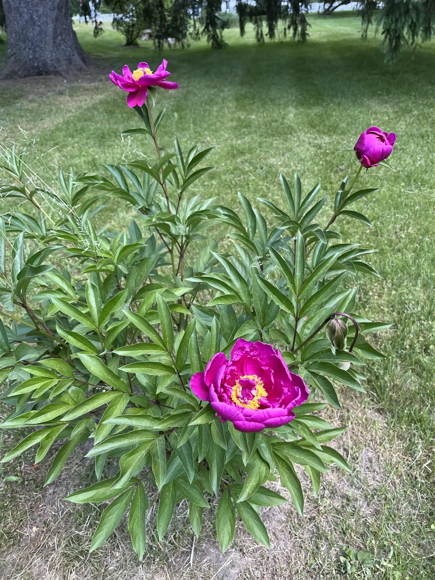 3497 Middle Road Clarendon VT 05759