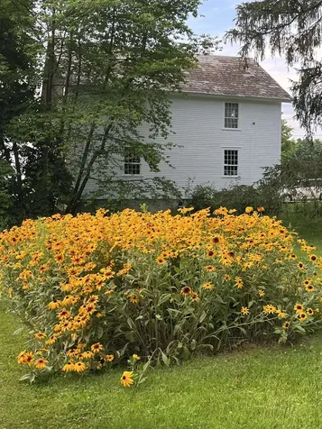 3497 Middle Road Clarendon VT 05759