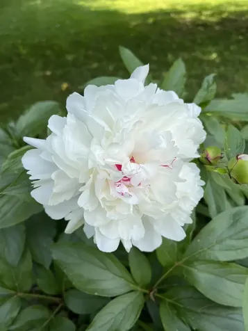 3497 Middle Road Clarendon VT 05759