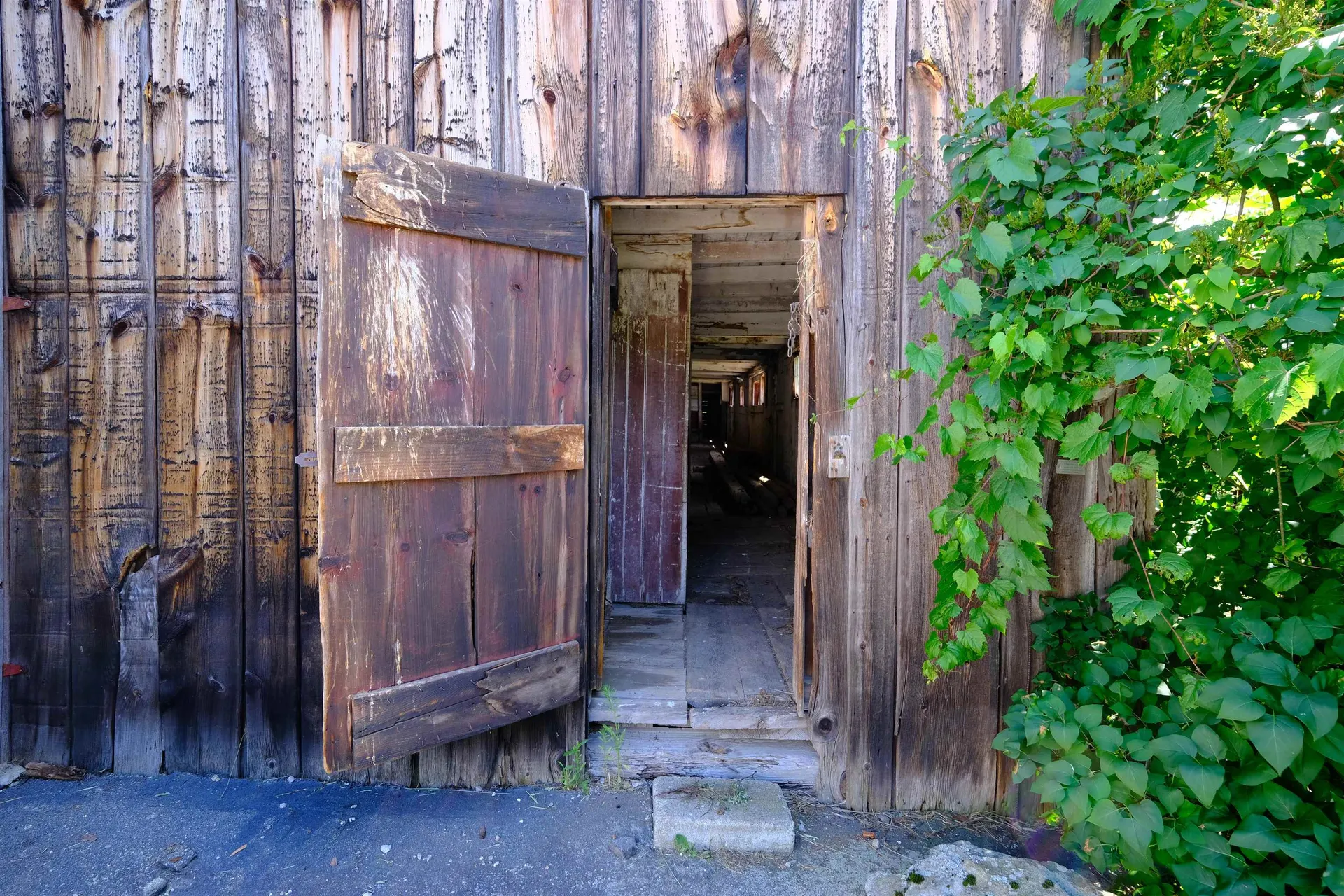 218 Gunderson Road Chester VT 05143