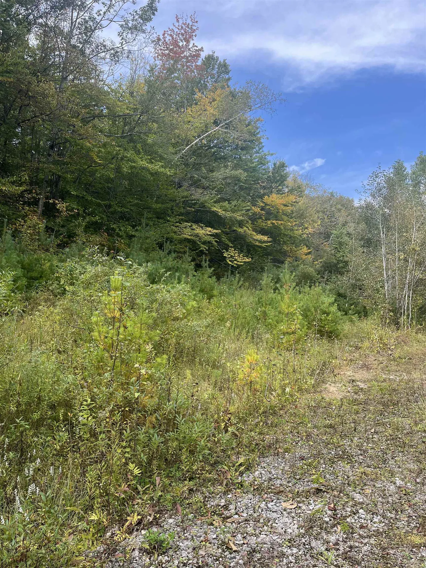 0 Whitmore Brook Road Chester VT 05143