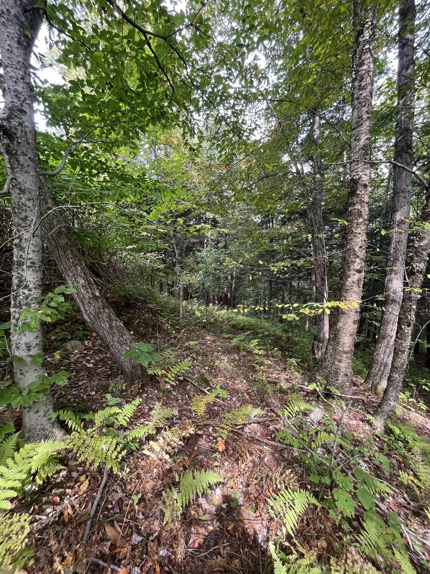 0 Whitmore Brook Road Chester VT 05143