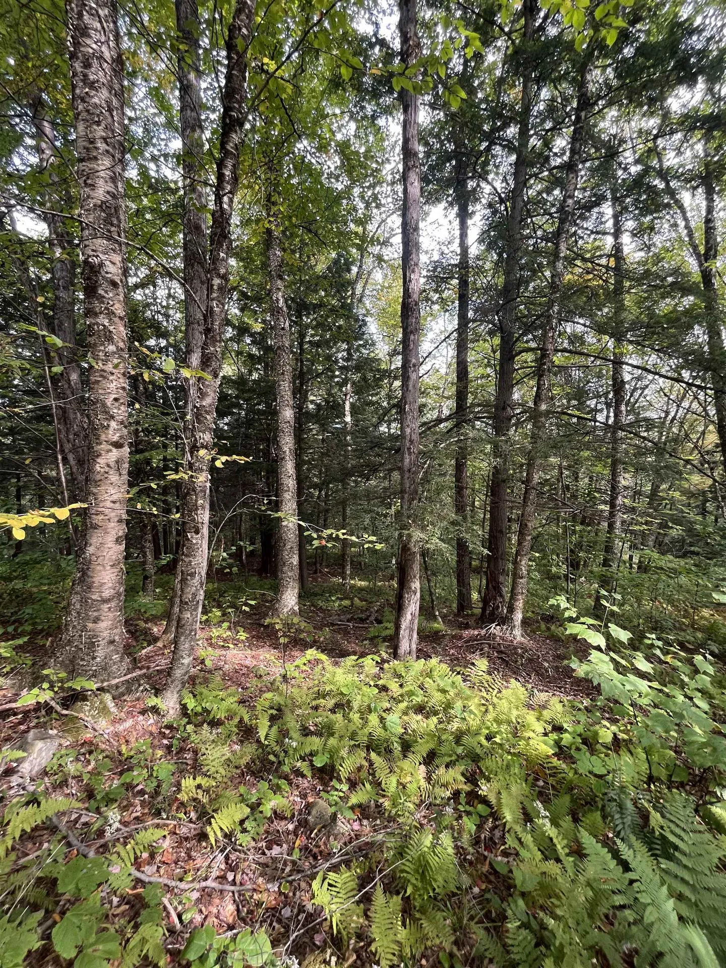 0 Whitmore Brook Road Chester VT 05143