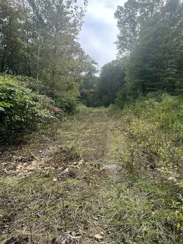 0 Whitmore Brook Road Chester VT 05143