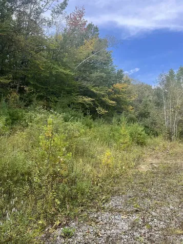 0 Whitmore Brook Road Chester VT 05143