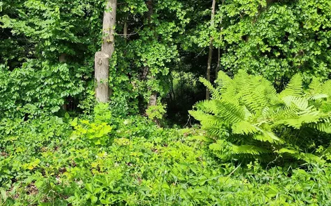 New Durham Road Alton NH 03809