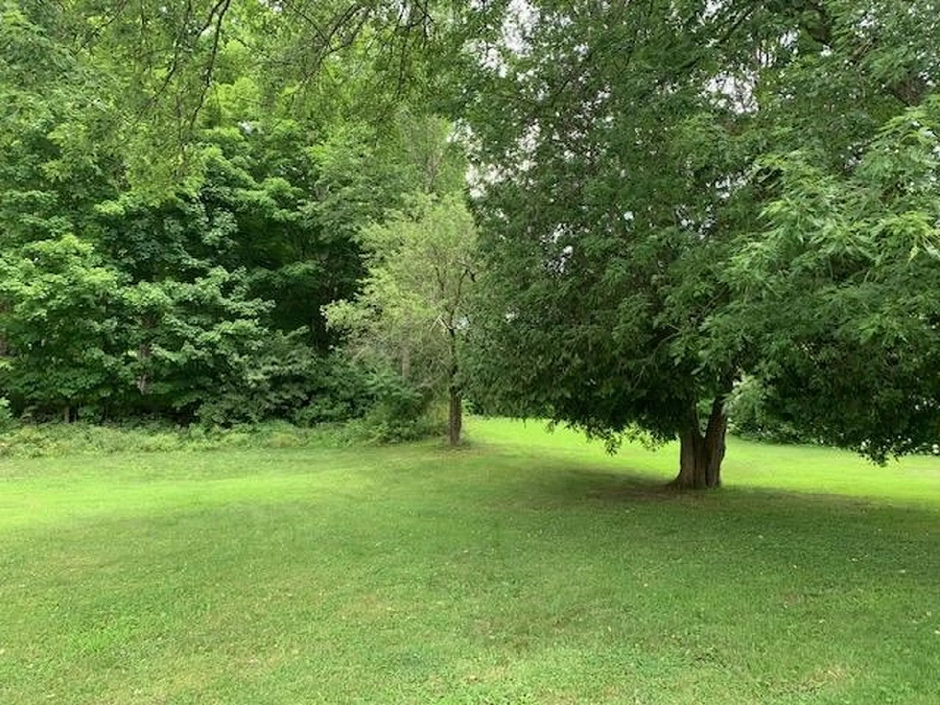 71 South Windsor Street Royalton VT 05068