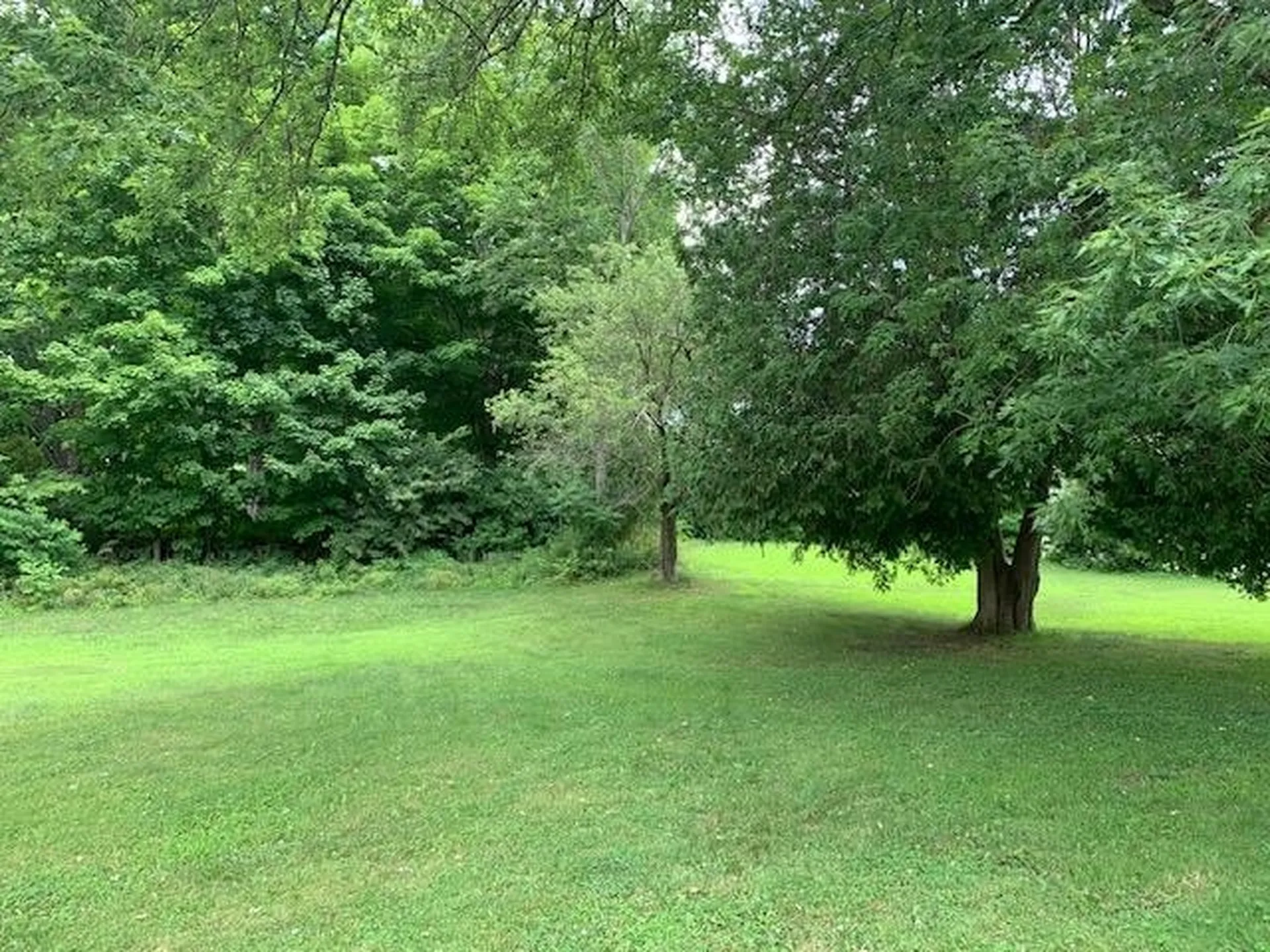 71 South Windsor Street Royalton VT 05068