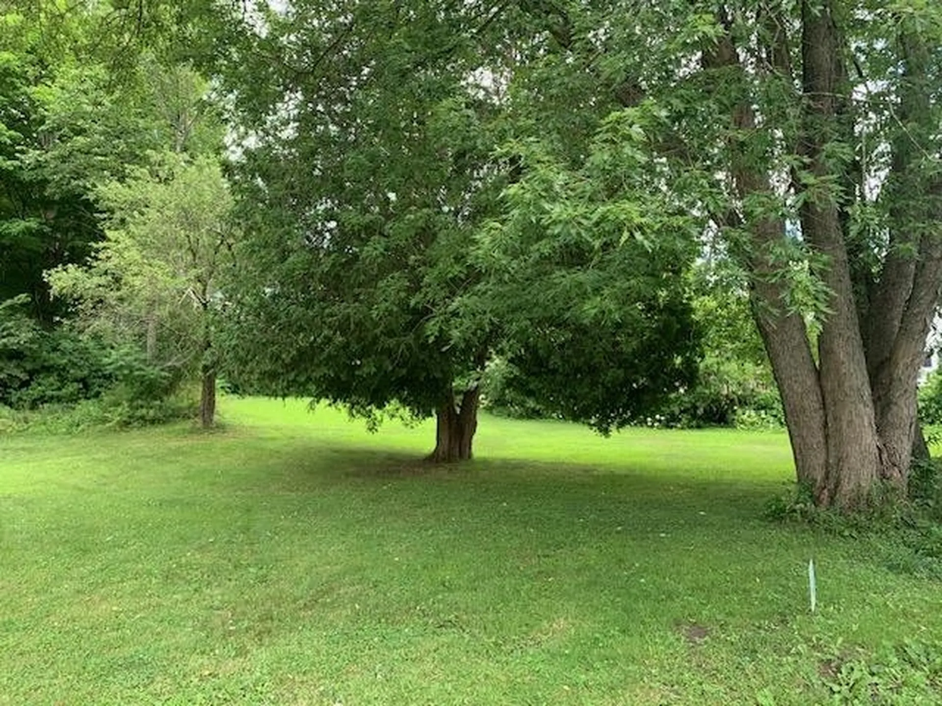 71 South Windsor Street Royalton VT 05068