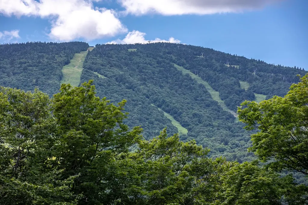 454 Mountain Road Stratton VT 05155