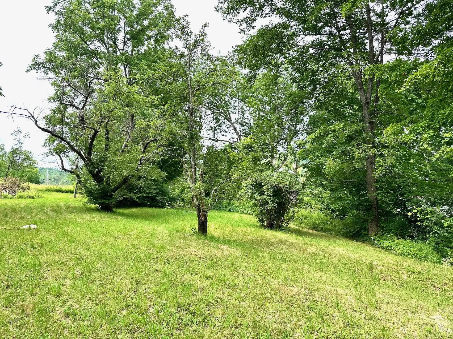 3128 Windham Hill Road Windham VT 05359