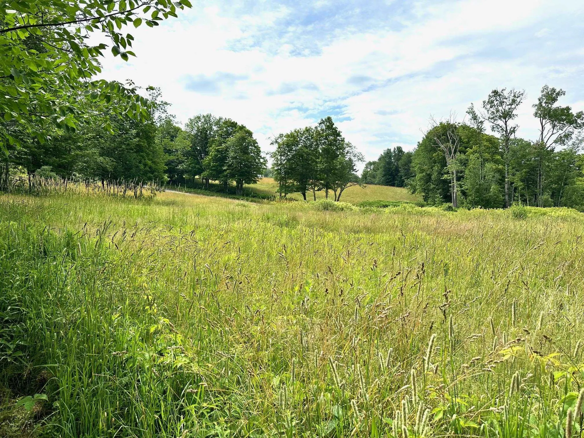 3128 Windham Hill Road Windham VT 05359