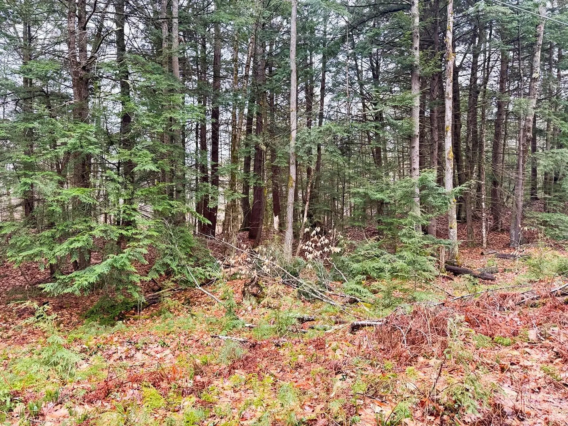 0000 Cedar Drive Gilmanton NH 03237