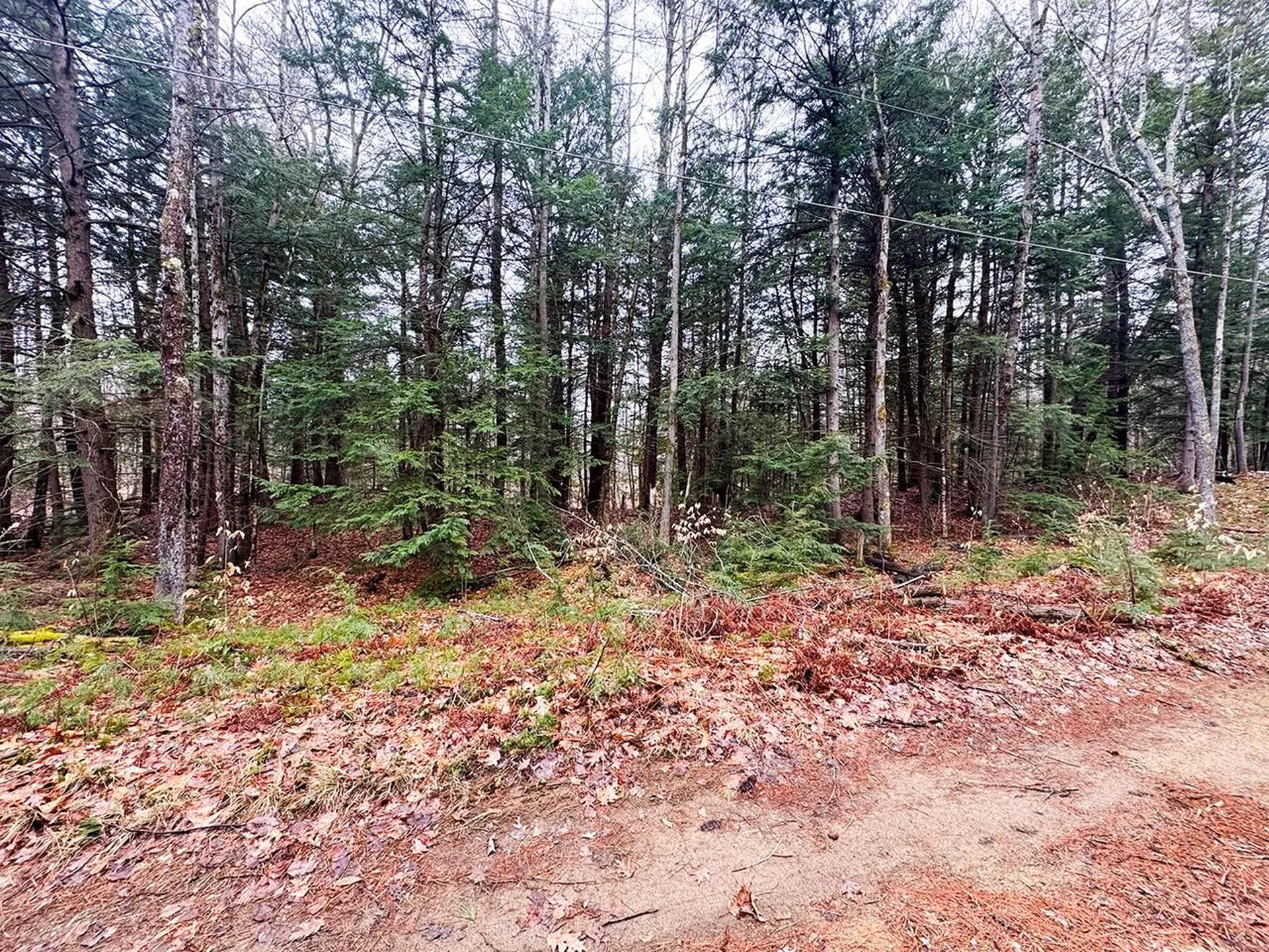 0000 Cedar Drive Gilmanton NH 03237