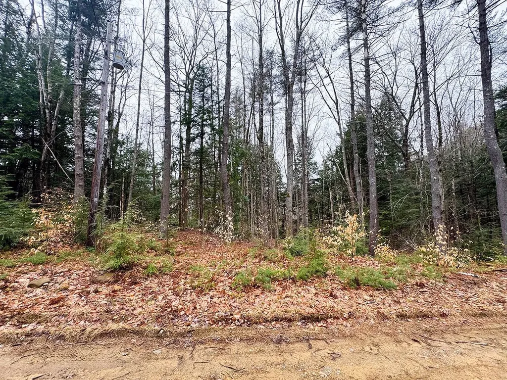0000 Cedar Drive Gilmanton NH 03237