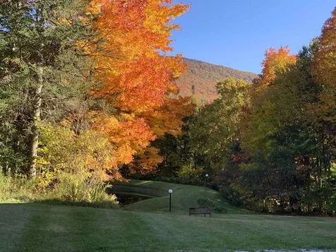 804 Route 242 Westfield VT 05874