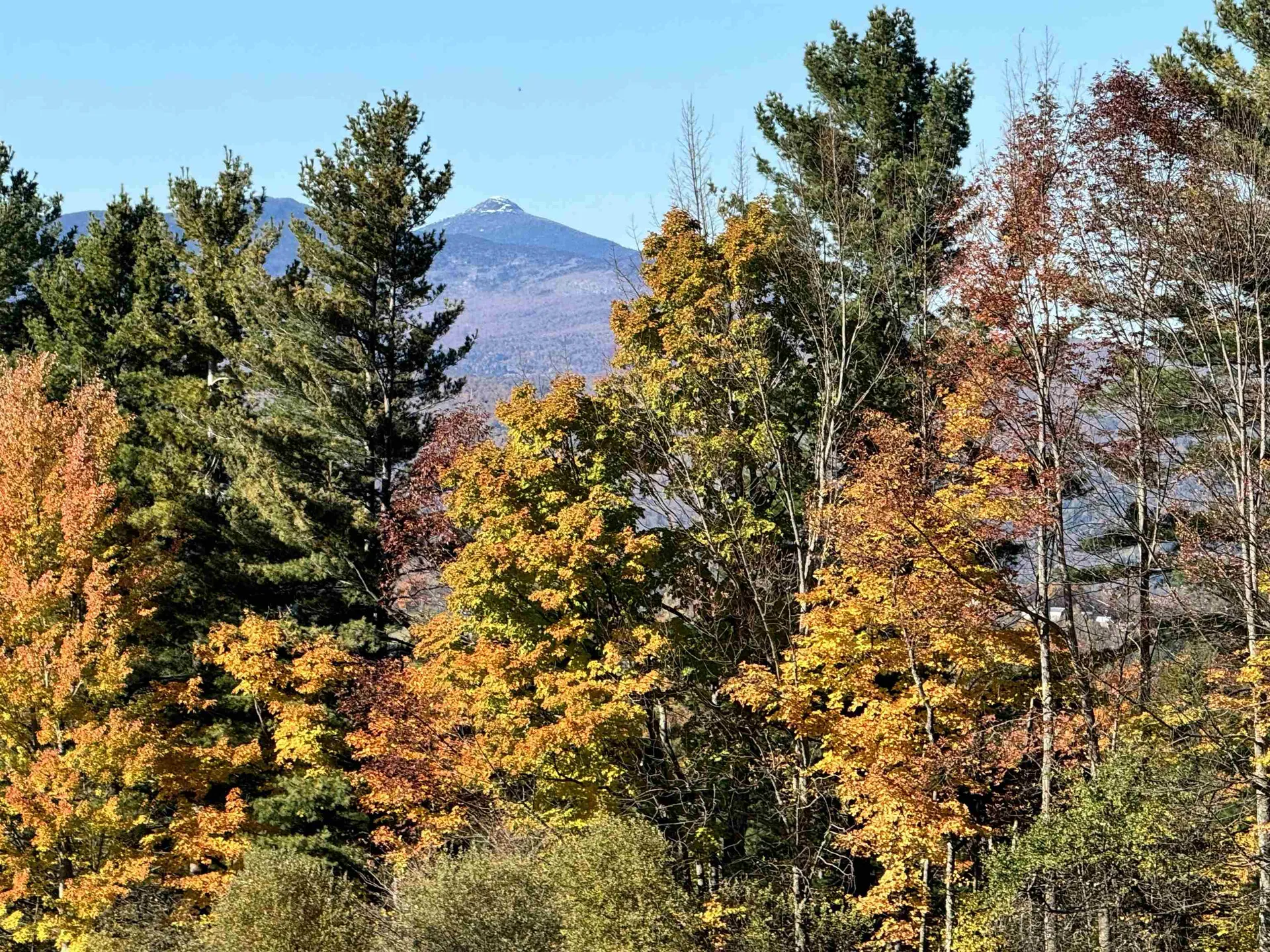 761 Cider Hill Warren VT 05674