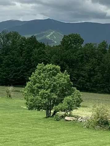 761 Cider Hill Warren VT 05674