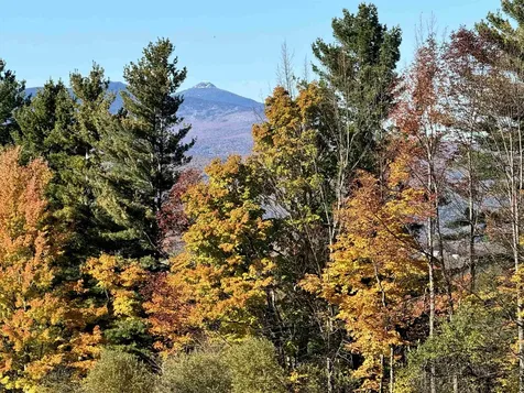 761 Cider Hill Warren VT 05674