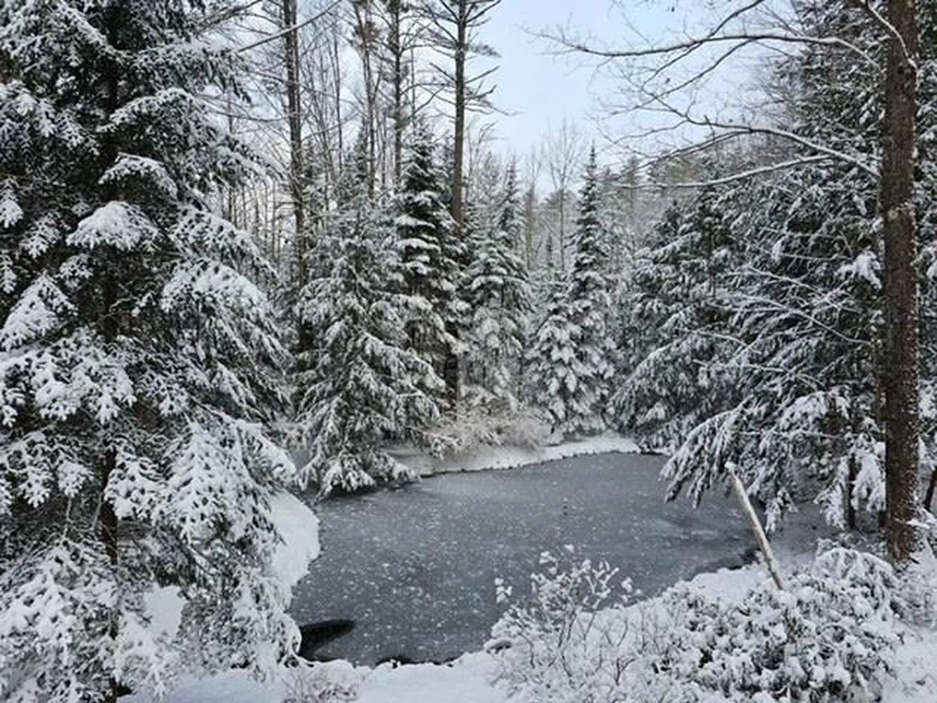 101 Kinsman Road Haverhill NH 03785