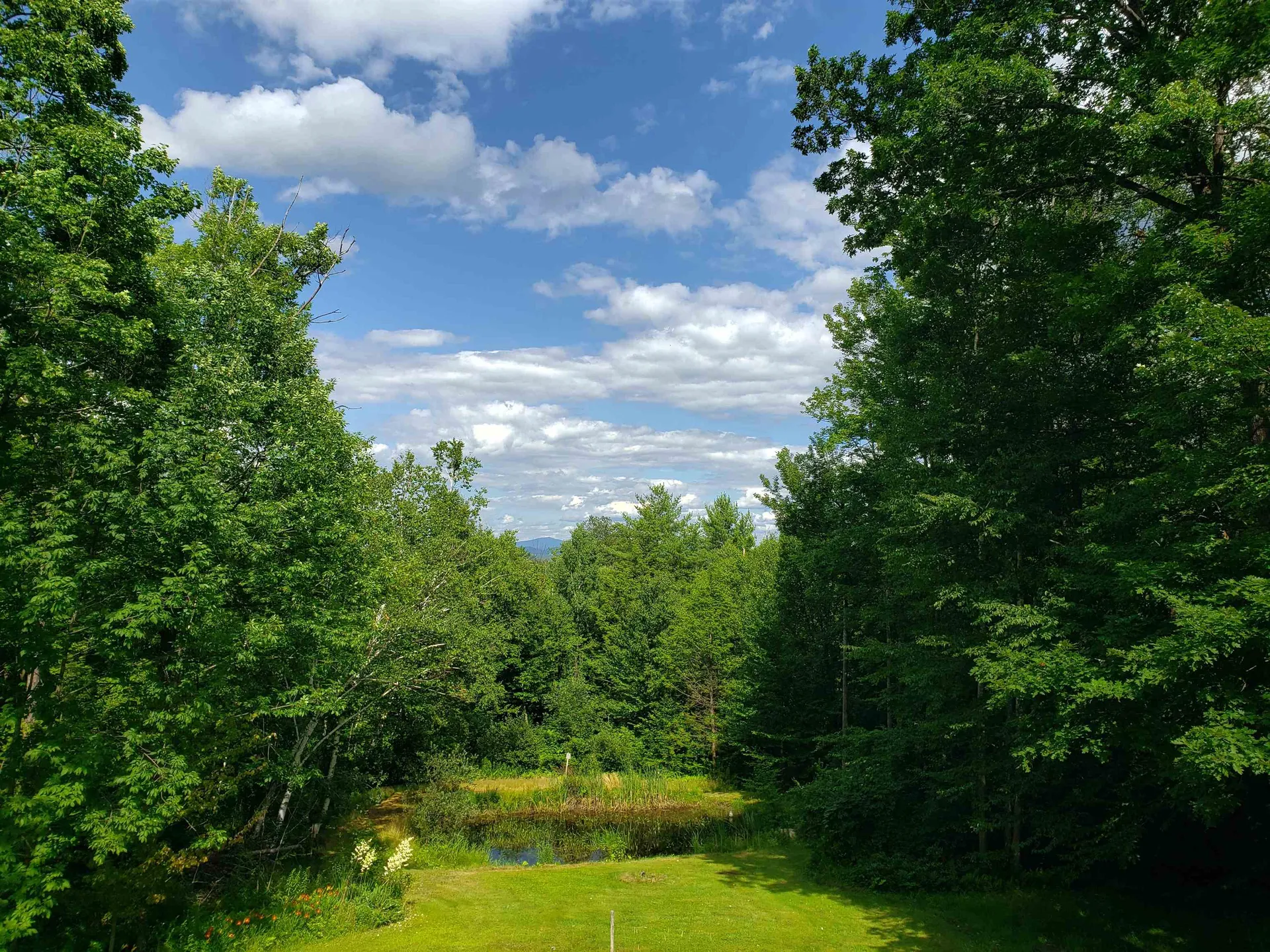 192 Lakeridge Road Guilford VT 05301